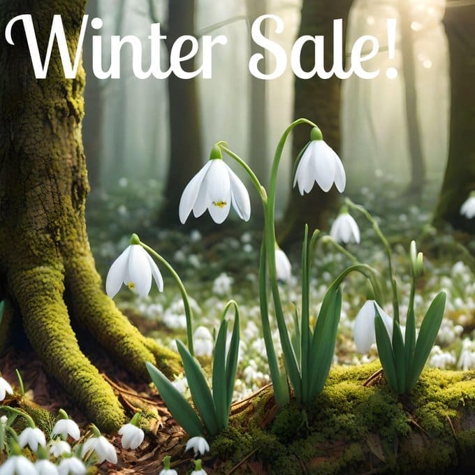 Winter Sale Designs by Etc & Etsy -Imbolc February